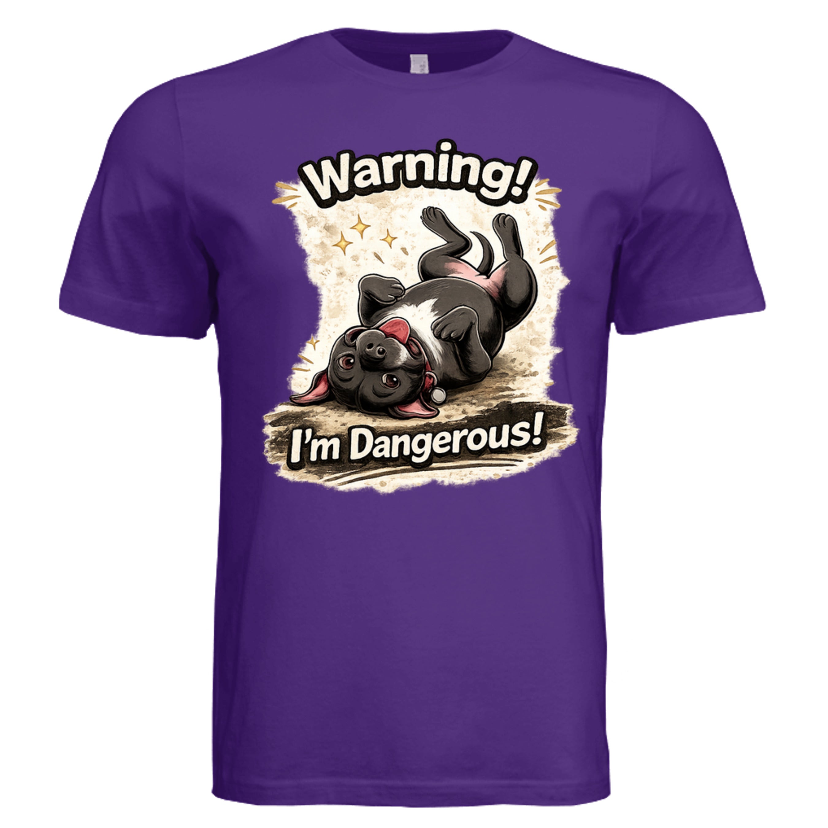 Solid Team Purple Triblend - 3413C - FRONT