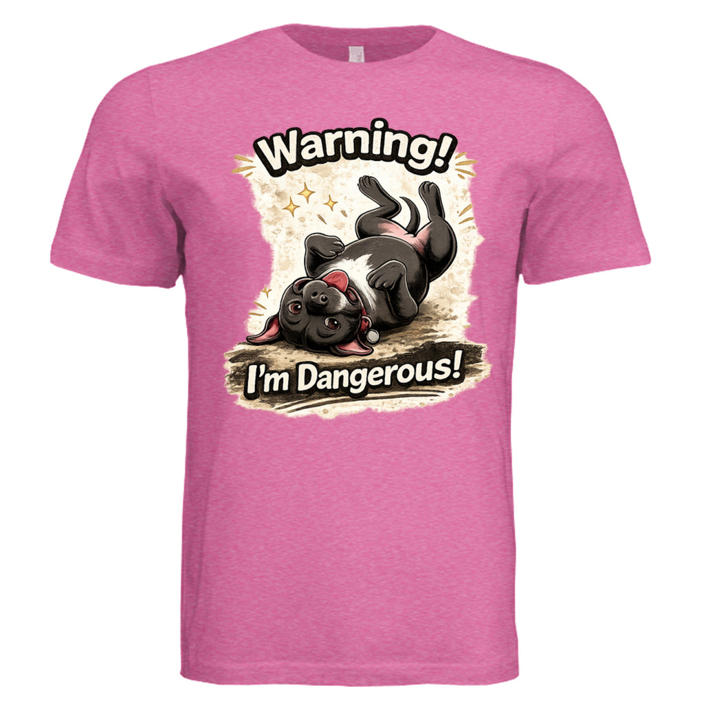 Charity Pink Triblend - 3413C - FRONT